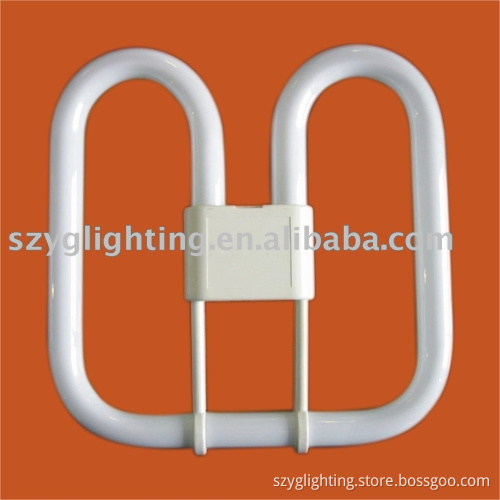 PLQ(2D) 2P Compact Fluorescent Lamps